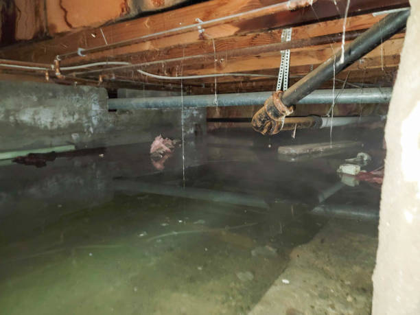 Best Commercial water damage restoration  in Caddo Mills, TX