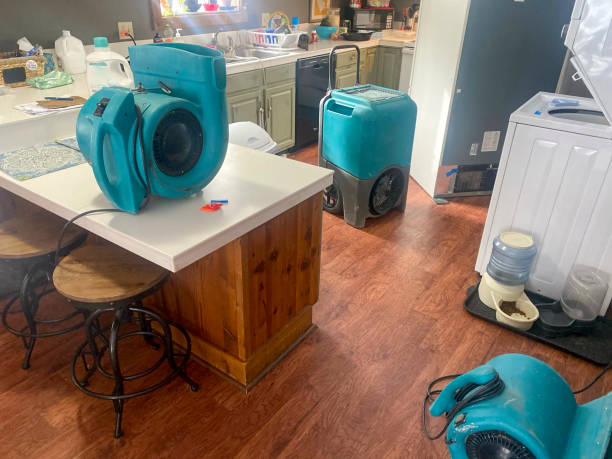 Best Sewage cleanup and water damage restoration  in Caddo Mills, TX