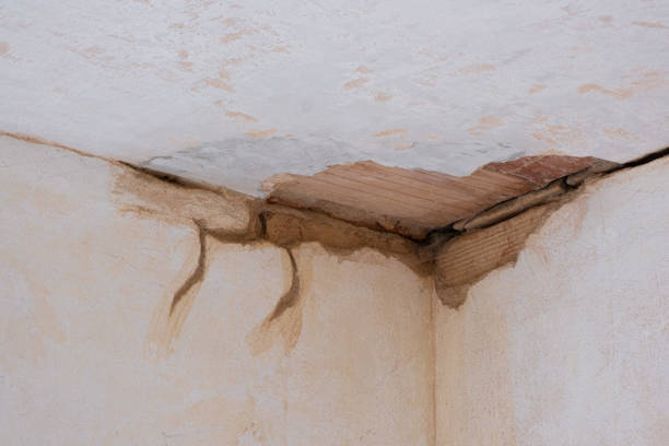 Best Local water damage restoration  in Caddo Mills, TX