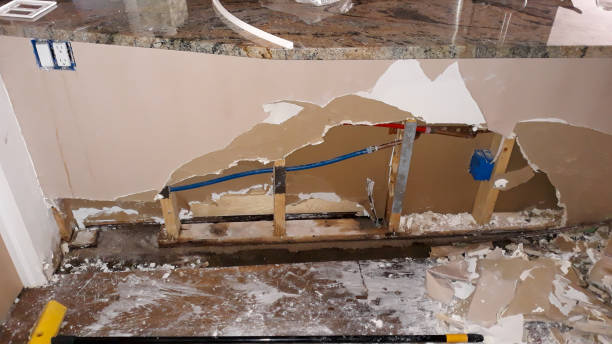 Best Flooded house restoration  in Caddo Mills, TX