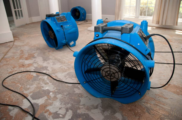 Best Emergency water extraction  in Caddo Mills, TX