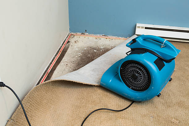 Best Flood damage cleanup  in Caddo Mills, TX
